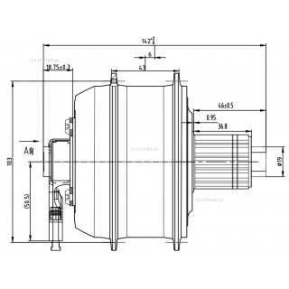 Shengyi DGW100  36V 250W QR12x142 mm Steckachse Thru Axle